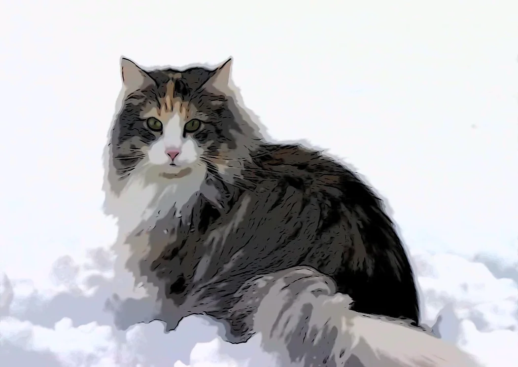 Coat &mdash; waterproof and self-maintaining, never soft and fluffy
