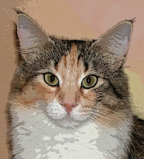 Ear Set and Triangle &mdash; the internal triangle from the front