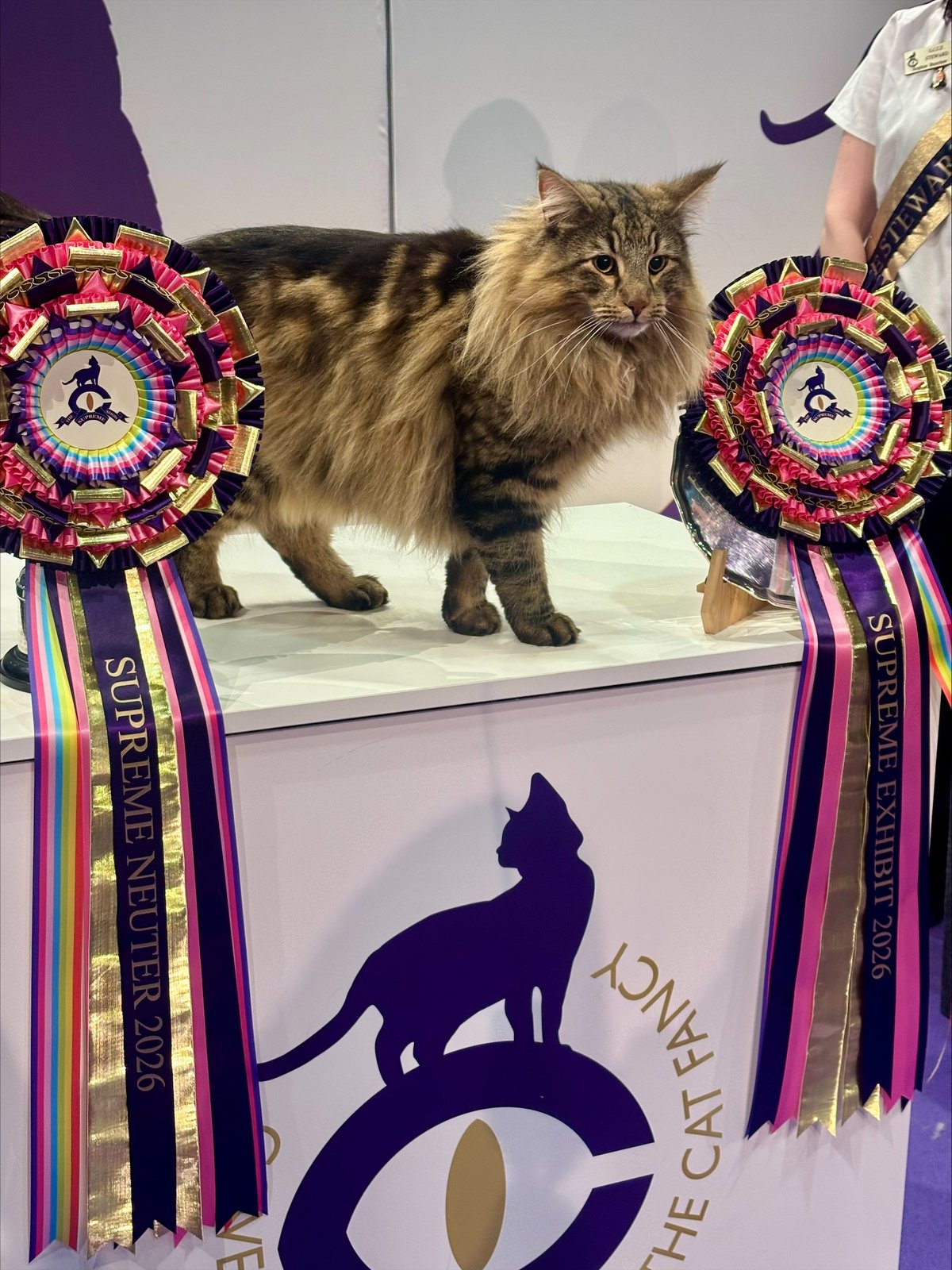 Pr Forestshadow Oliver — Supreme Best Pedigree 2026